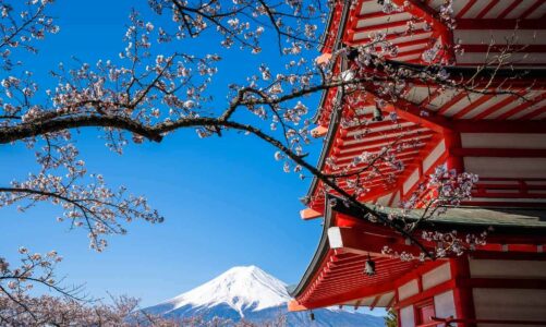 Japan for the Summer: Best Ideas for You