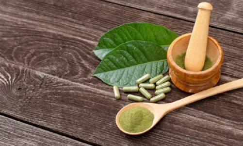 Look at Top Vendors for Quality Kratom Products