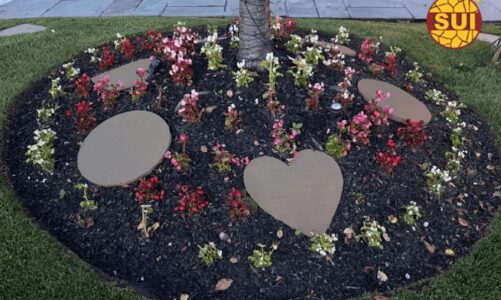 5 Ways Natural Stepping Stones Can Increase Your Home’s Value